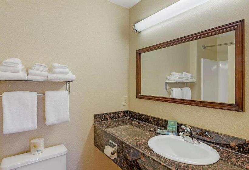 Номер Стандарт Кровать Кинг Адаптированный для Инвалидов, Best Western North Roanoke