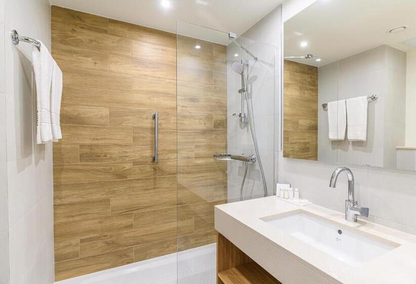 프리미엄 룸, Crowne Plaza Maastricht, An Ihg
