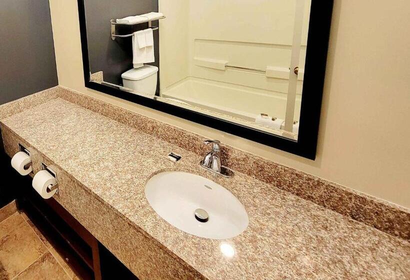 Номер Deluxe Кровать Кинг, Extended Stay America Suites   Buffalo   Airport