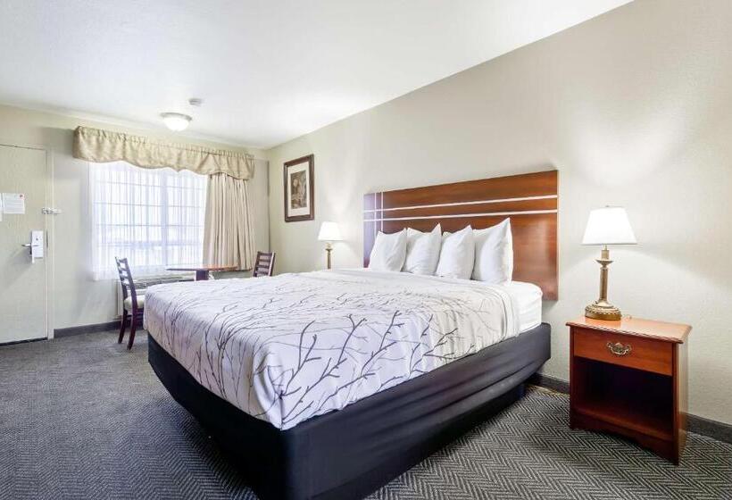 标准单人间, Rancho San Diego Inn & Suites