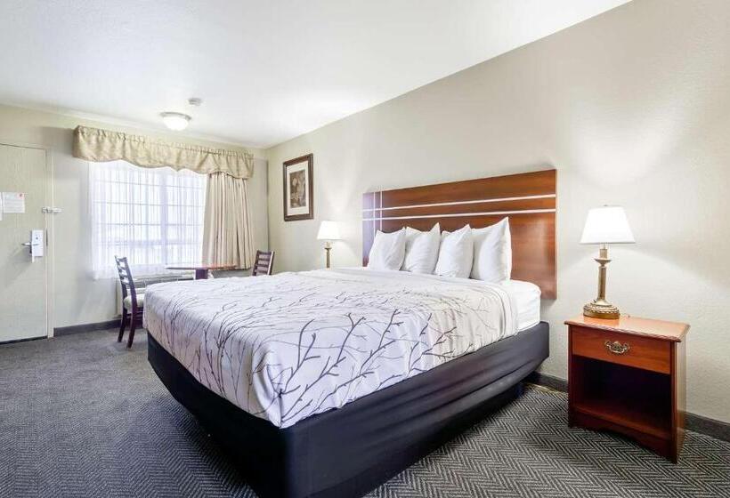 适合残疾人士使用的带超级大床的标准间, Rancho San Diego Inn & Suites