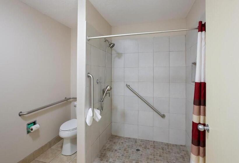 Quarto Superior para Deficientes, Red Roof Inn Dillon, Sc