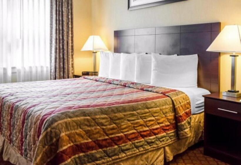 Стандартный Номер Кровать Кинг, Rodeway Inn & Suites Hershey