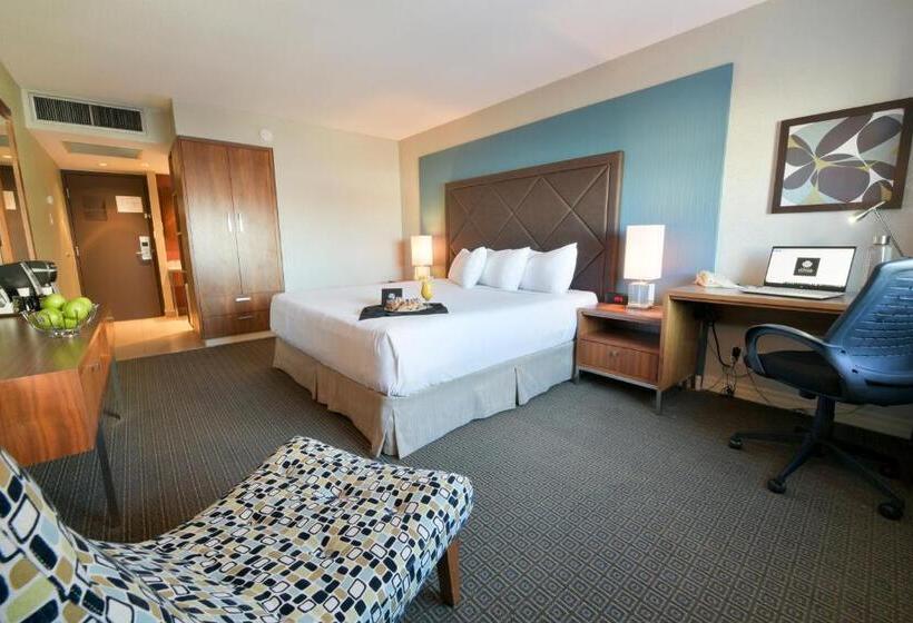 Quarto Premium, Universel Montréal