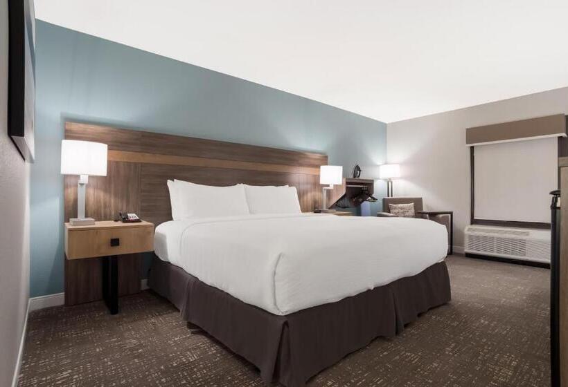 장애인을 위한 킹사이즈 침대 스탠다드 룸, Best Western Flagship Inn