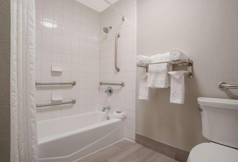 장애인을 위한 킹사이즈 침대 스탠다드 룸, Best Western Flagship Inn