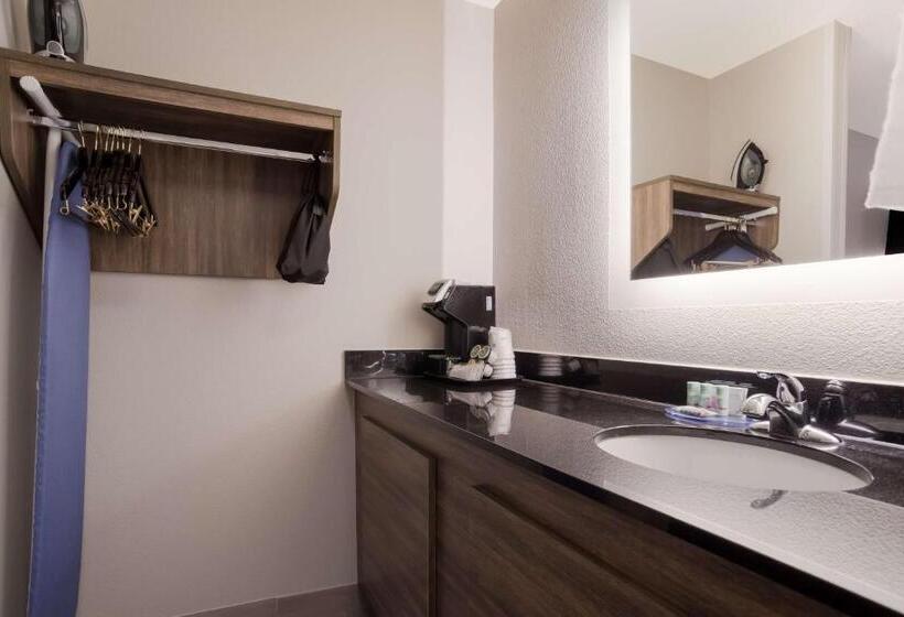 스탠다드 룸 킹사이즈 침대, Best Western Flagship Inn