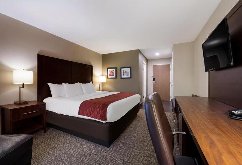 스탠다드 룸 킹사이즈 침대, Comfort Inn Onalaska  La Crosse Area