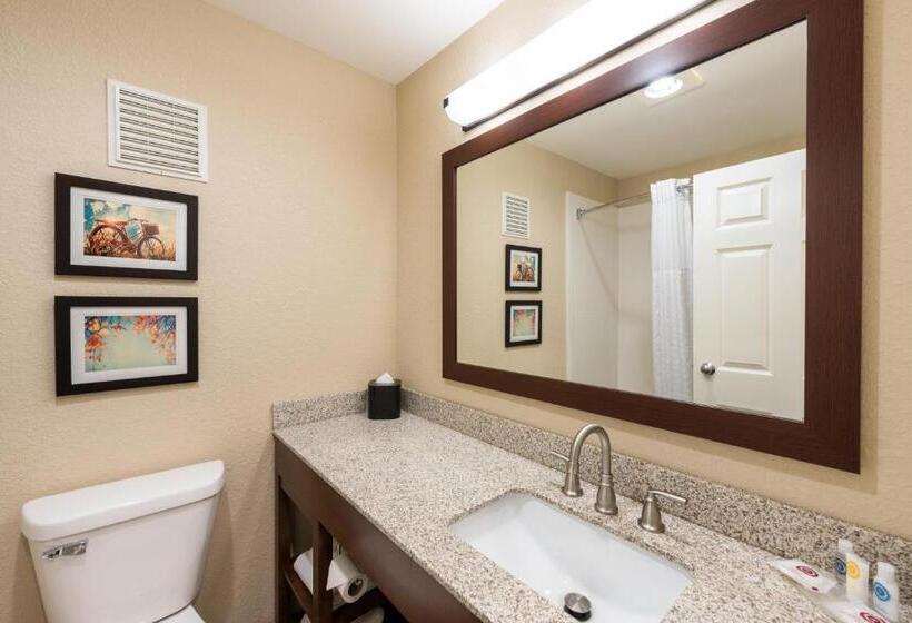 스탠다드 룸, Comfort Inn Onalaska  La Crosse Area