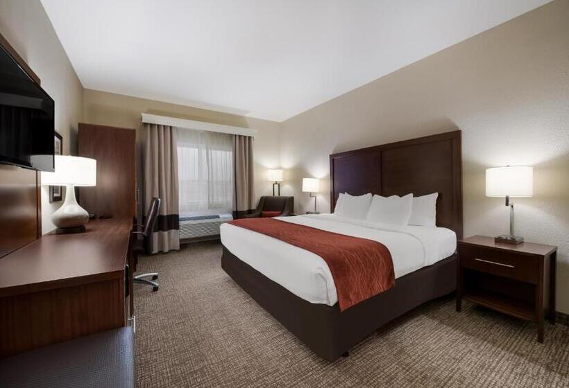 장애인을 위한 킹사이즈 침대 스탠다드 룸, Comfort Inn Onalaska  La Crosse Area