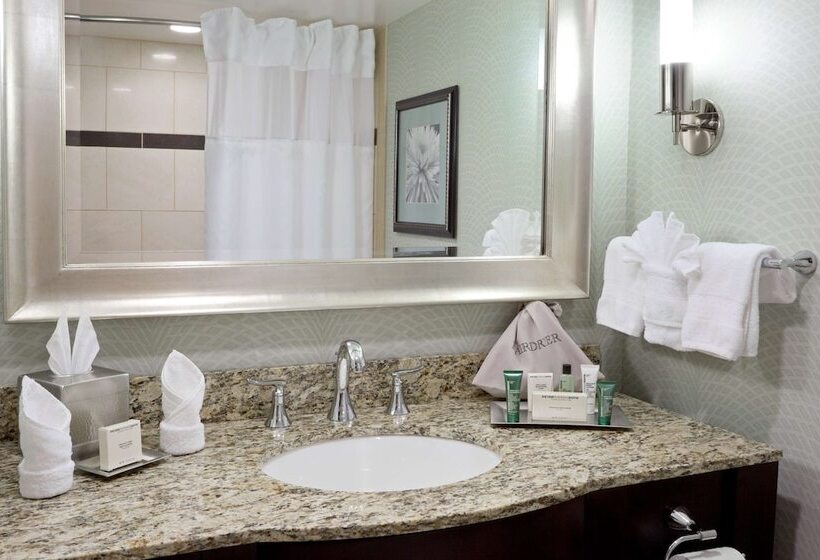 Номер Deluxe, Hilton Springfield