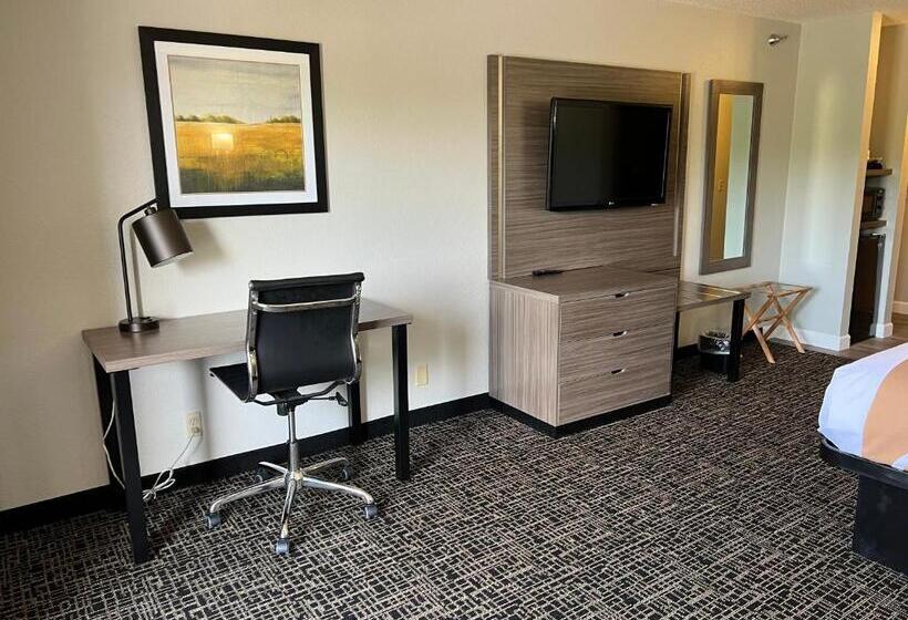스탠다드 룸 킹사이즈 침대, Quality Inn & Suites Red Wing