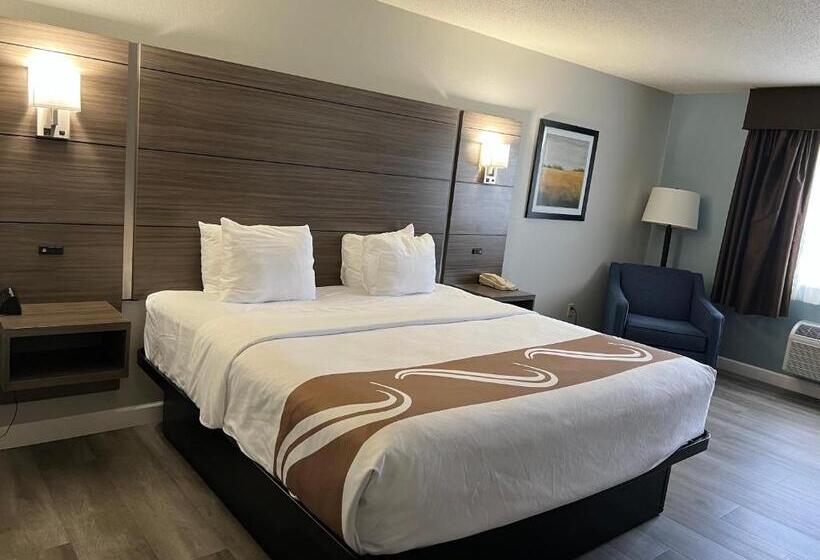 스탠다드 룸 킹사이즈 침대, Quality Inn & Suites Red Wing