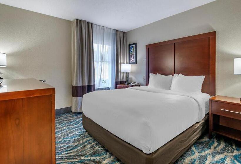 Номер Стандарт Адаптированный для Инвалидов, Comfort Inn Asheville East Blue Ridge Pkwy Access