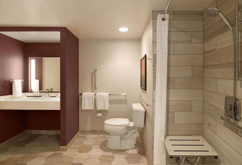 Люкс Адаптированный для Инвалидов, Embassy Suites By Hilton Phoenix Downtown North