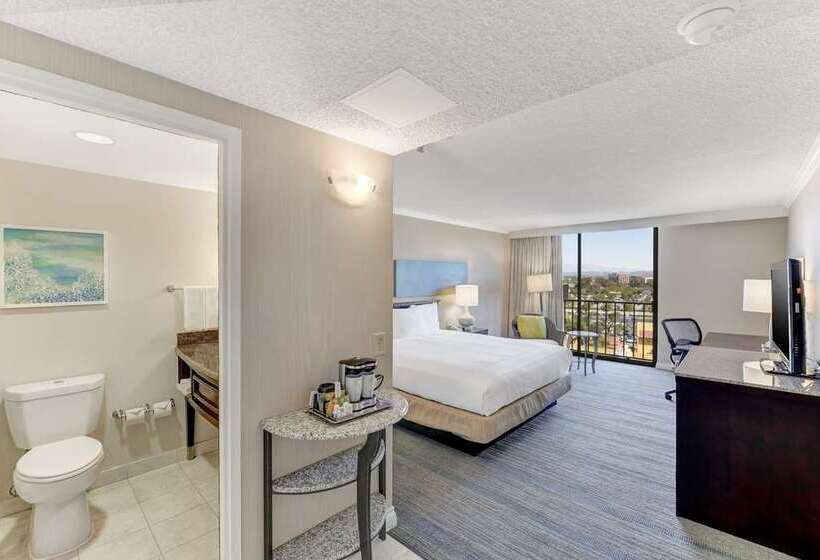 Номер Стандарт, Hilton University Of Houston