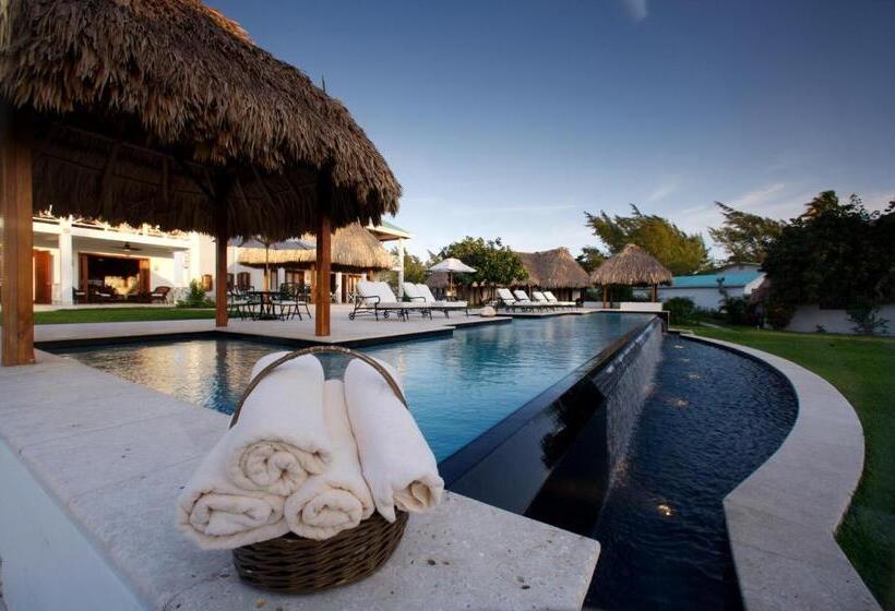 اتاق استاندارد با تخت بزرگ, Victoria House Resort & Spa