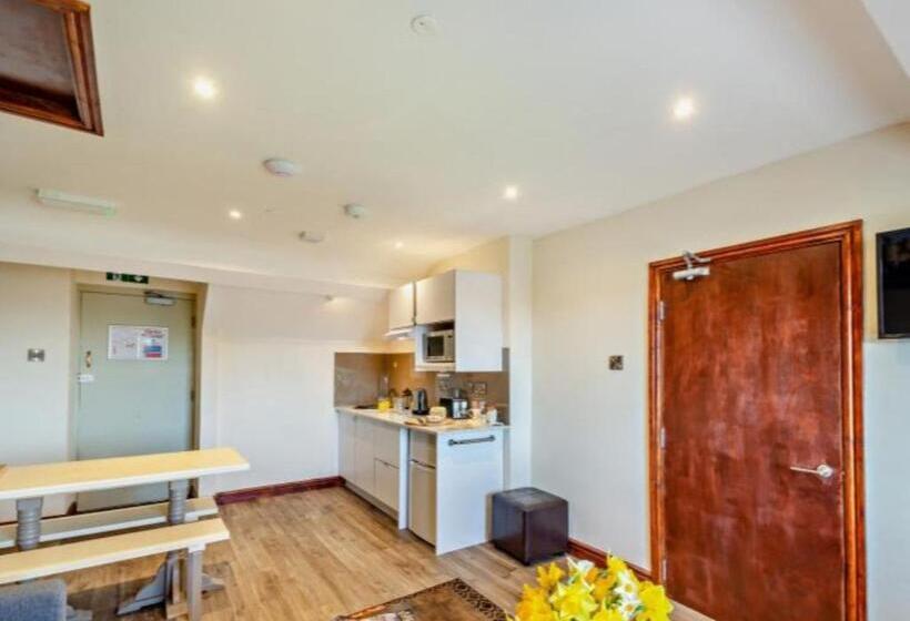 استودیوی لوکس, Lion Hotel & Studio Apartments