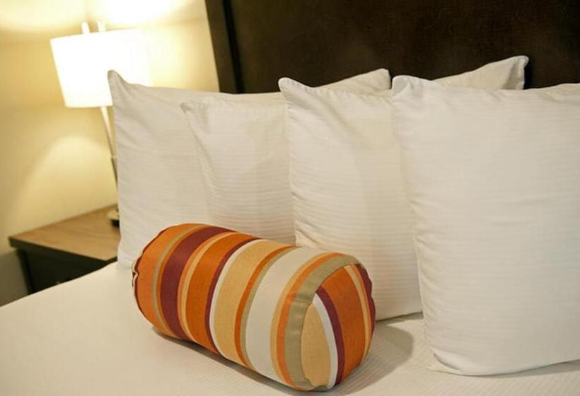 스탠다드 룸, Alpine Inn & Suites