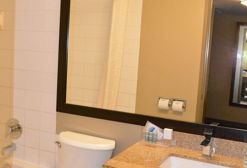 Номер Стандарт 2 Двуспальные Кровати, Best Western Terrace Inn