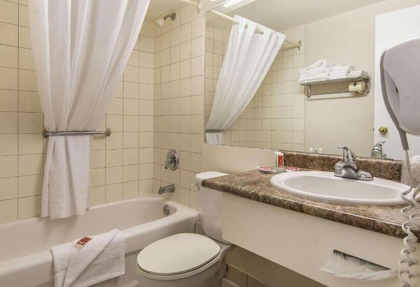 带大床的标准间, Econo Lodge