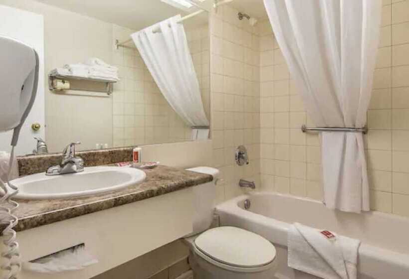 标准间, Econo Lodge