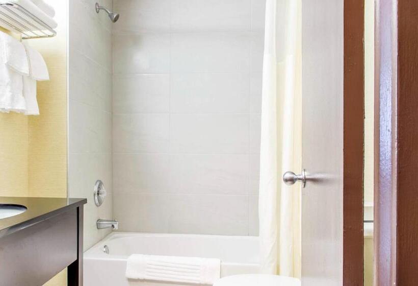 ２ダブルベッドのスタンダードルーム, Quality Hotel Dorval Aeroport
