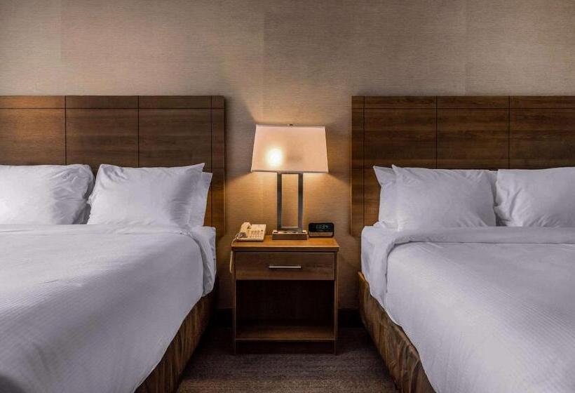 スタンダードルーム, Quality Hotel Dorval Aeroport