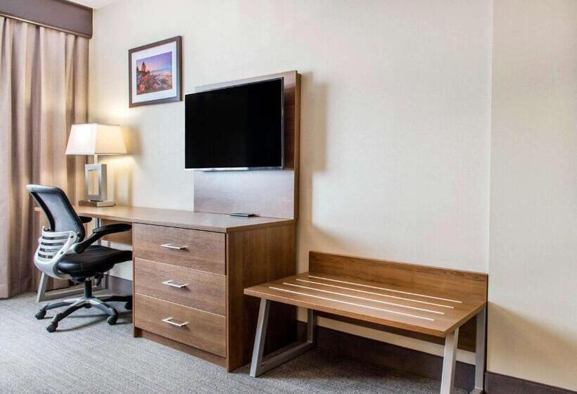 キングサイズベッドのスタンダードルーム, Quality Hotel Dorval Aeroport