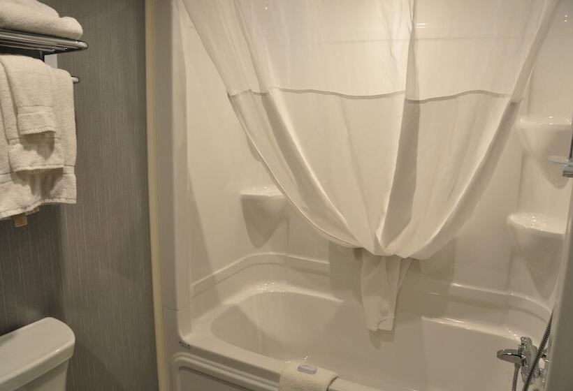 اتاق استاندارد, & Suites Le Dauphin Quebec
