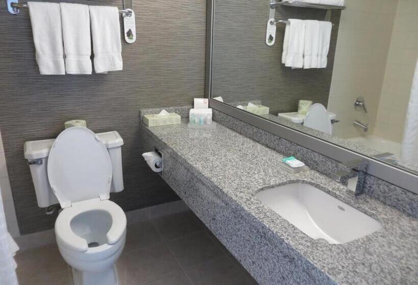 سوییت, Toronto Don Valley Hotel And Suites