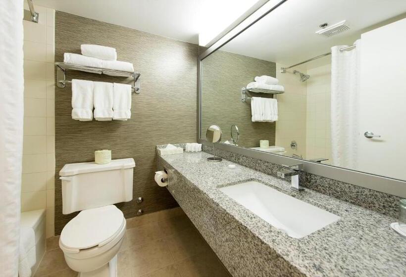 Quarto Deluxe Cama King, Toronto Don Valley Hotel And Suites