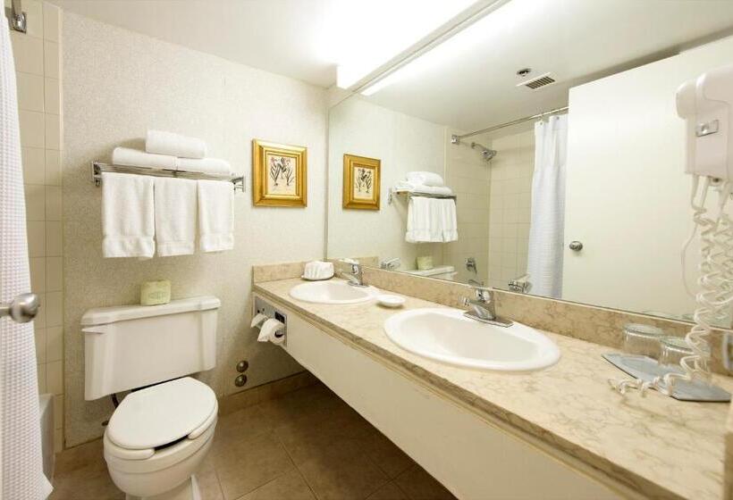 اتاق استاندارد, Toronto Don Valley Hotel And Suites