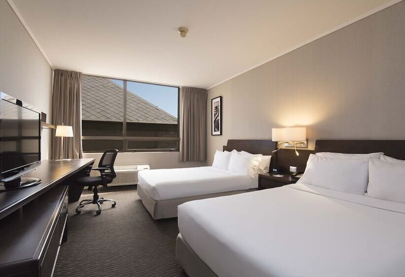 带2个双人床的标准工作室, Holiday Inn Express   Iquique, An Ihg