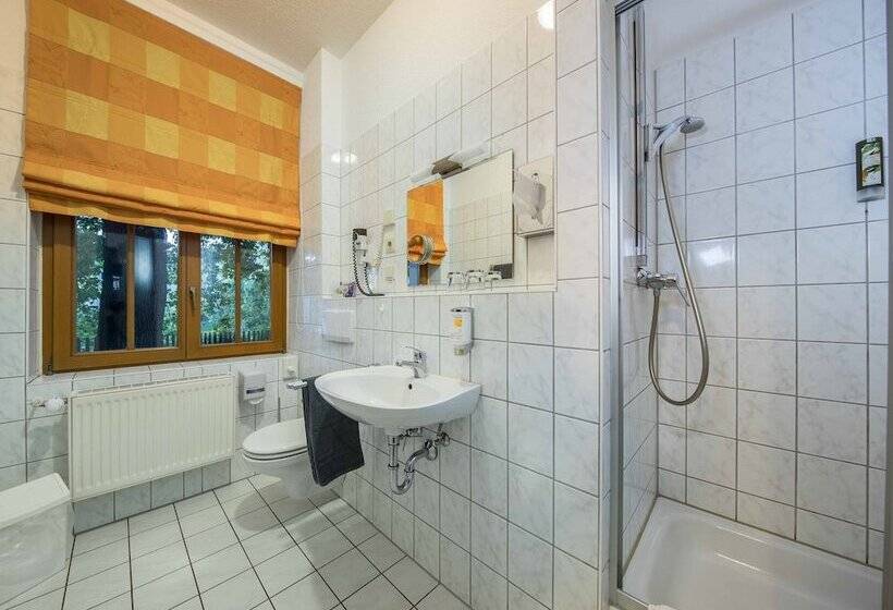 Номер Стандарт, Parkhotel Plauen