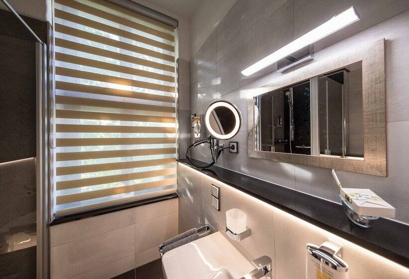 Номер Economy Индивидуальный, Parkhotel Plauen