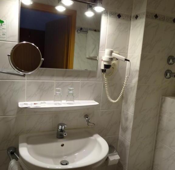Номер Стандарт Индивидуальный, Zentral Hotel Poststuben