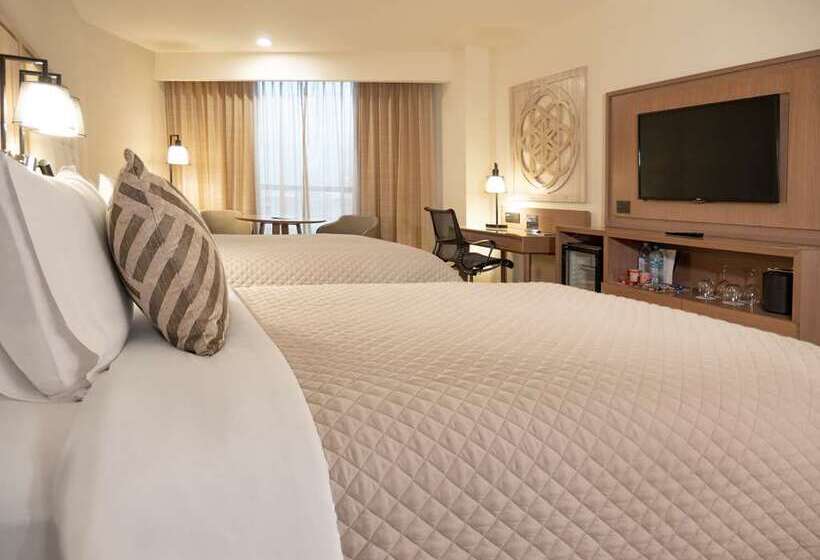 エクゼクティブルーム, Hilton Princess San Pedro Sula
