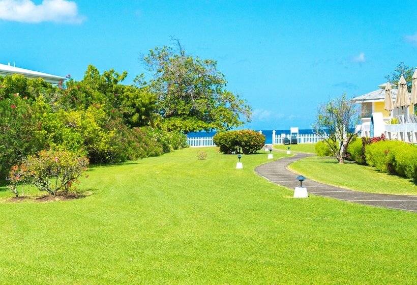 اتاق استاندارد با 2 تخت دوبل, Allamanda Beach