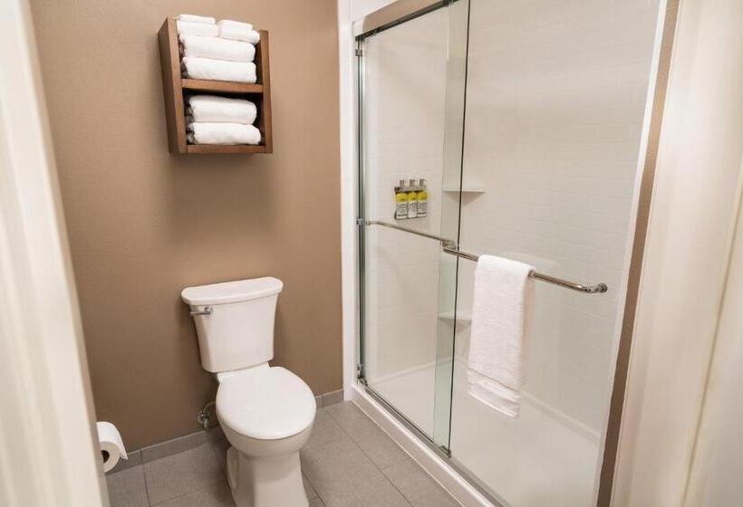 带1个卧室的公寓, Staybridge Suites Coeur D Alene, An Ihg