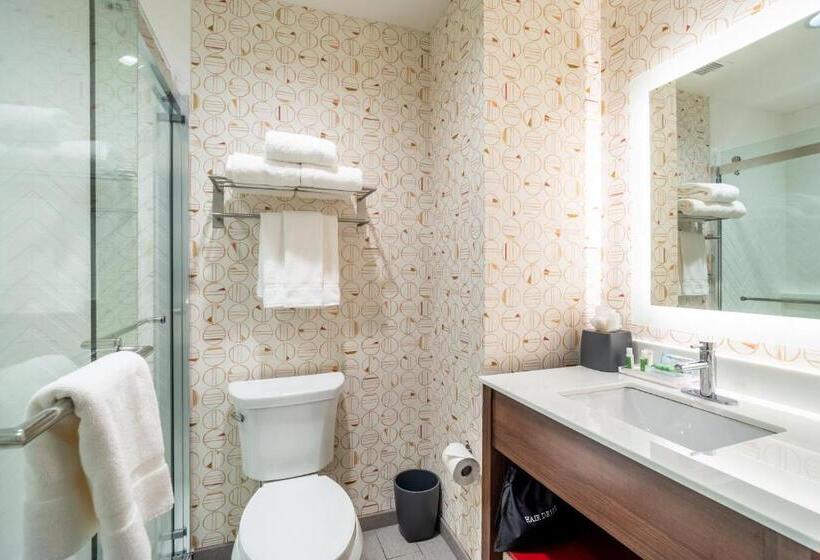 适合残疾人使用的标准间, Holiday Inn   Columbia   Downtown, An Ihg