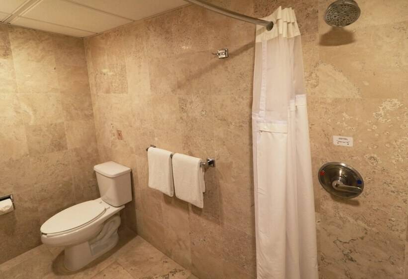 اتاق استاندارد با 2 تخت دوبل, Holiday Inn San Luis Potosi Quijote By Ihg