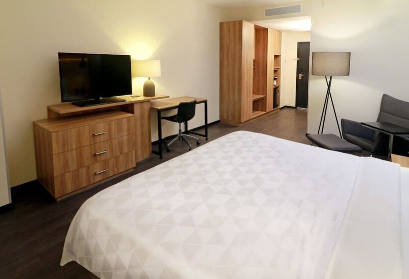 اتاق استاندارد, Holiday Inn San Luis Potosi Quijote By Ihg