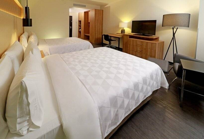 اتاق استاندارد با 2 تخت دوبل, Holiday Inn San Luis Potosi Quijote By Ihg