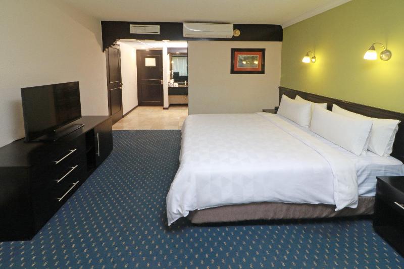 اتاق استاندارد با تخت بزرگ, Holiday Inn San Luis Potosi Quijote By Ihg