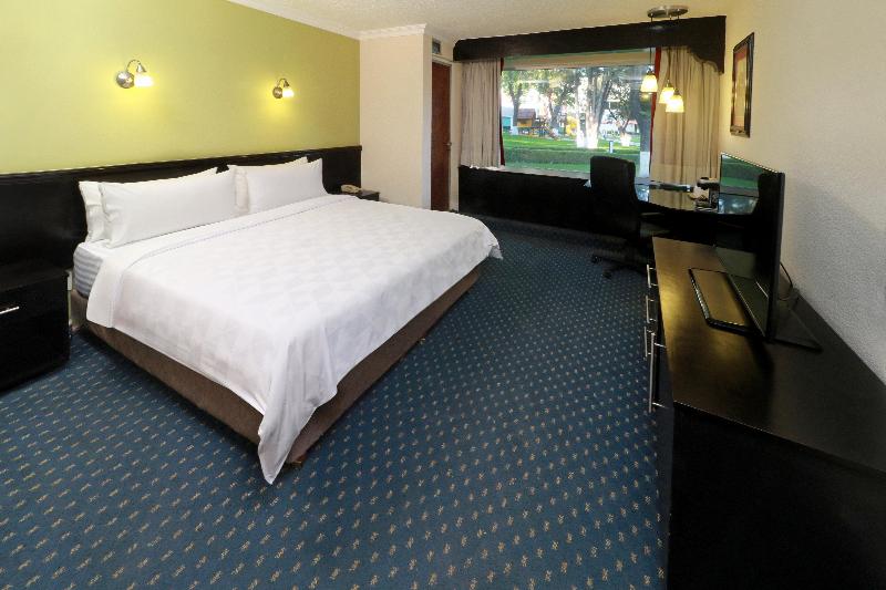 اتاق استاندارد با تخت بزرگ, Holiday Inn San Luis Potosi Quijote By Ihg