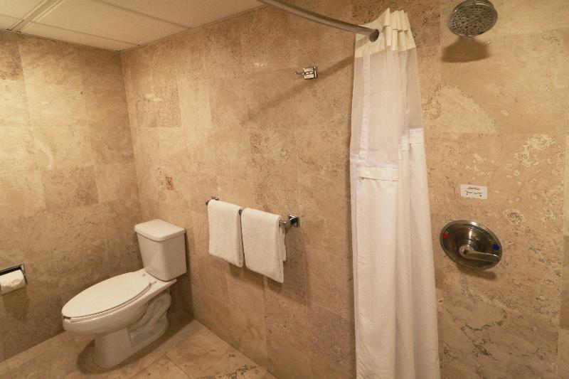 سوییت, Holiday Inn San Luis Potosi Quijote By Ihg