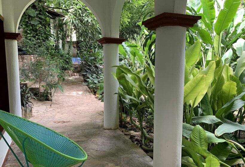 スタンダードルーム, La Ceiba