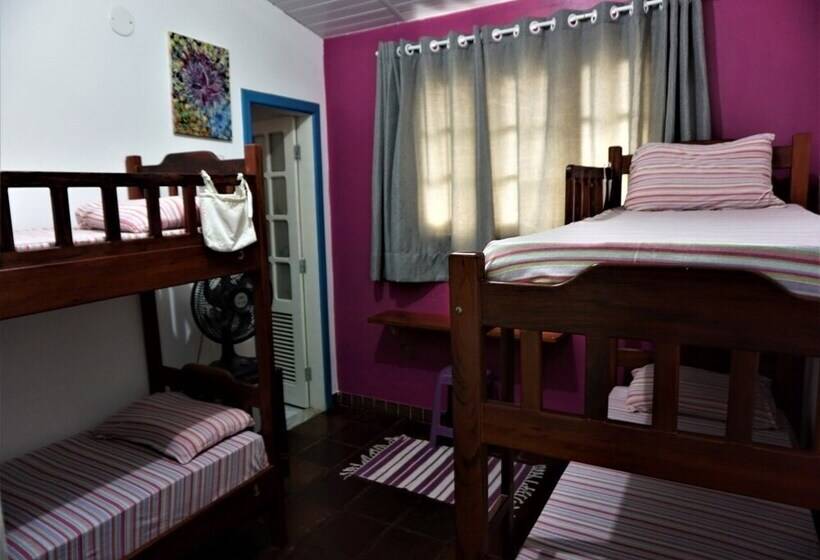 공동 객실, Bada Hostel & Kite School
