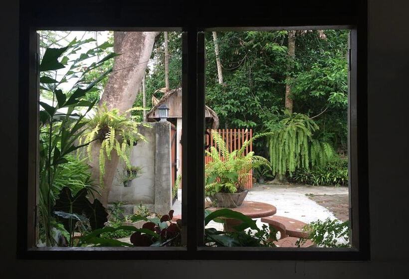 اتاق استاندارد, Fern House Retreat